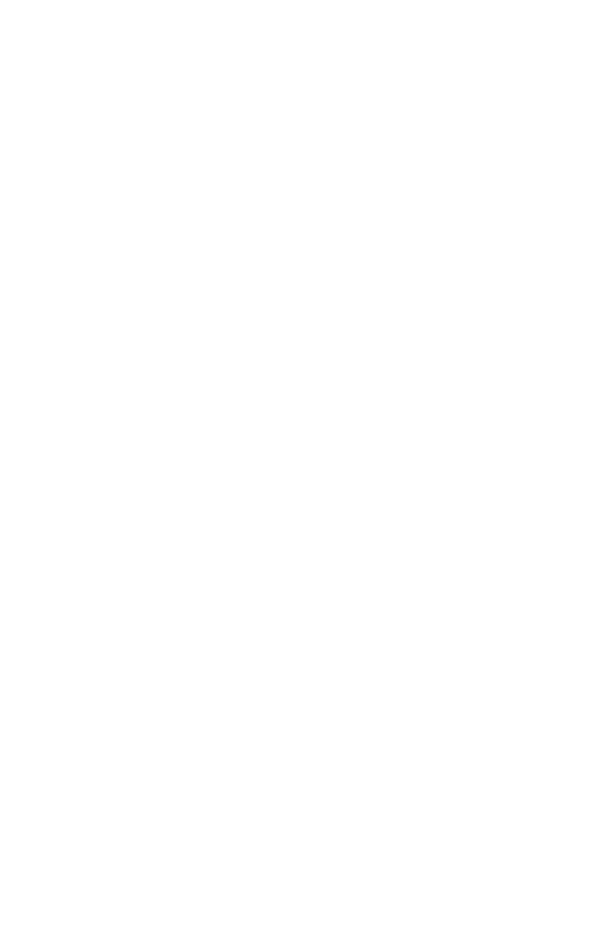 Logo Torleaks